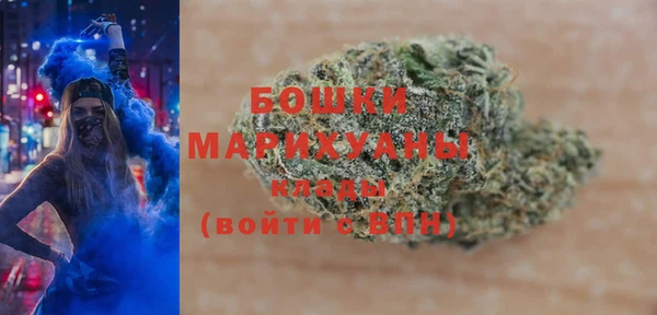 молекула духа Киреевск