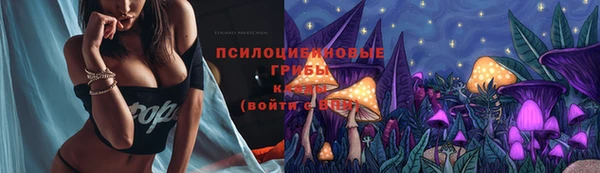 spice Киренск