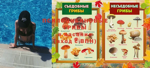 молекула духа Киреевск