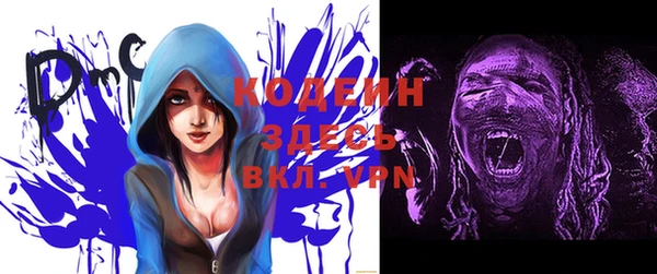 молекула духа Киреевск
